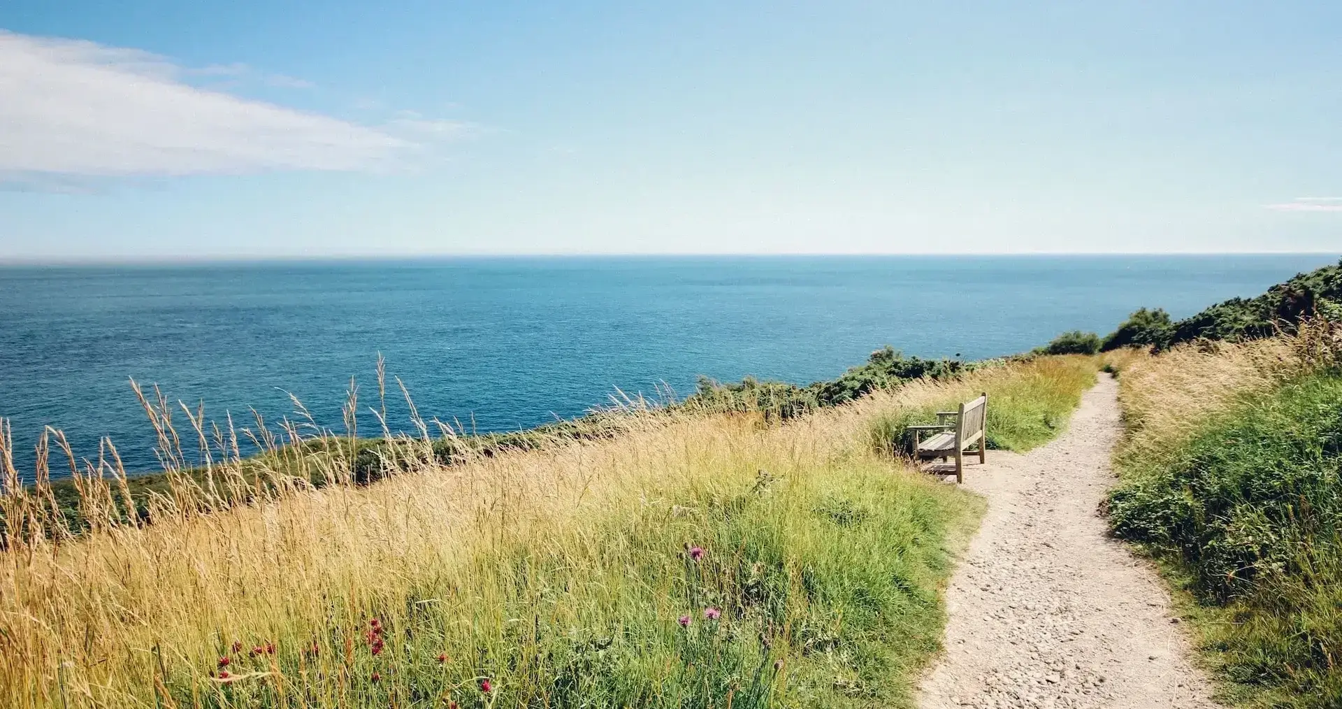 Relaxing path by the beach